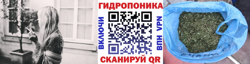 Бошки Шишки индика  Заозёрный 